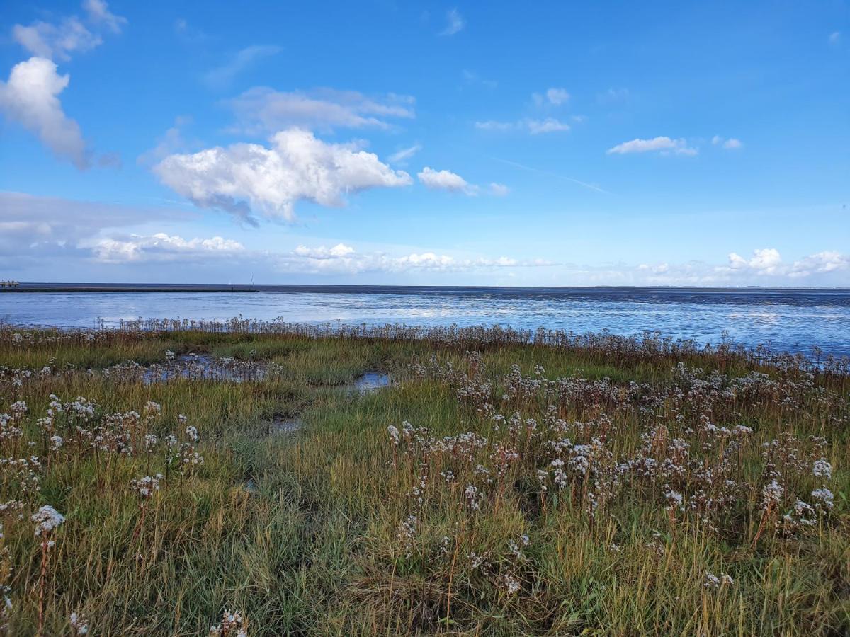 Ferienhaus An Der Nordsee - Familienfreundlich, Gut Ausgestattet & Viel Platz ブットヤーディンゲン エクステリア 写真